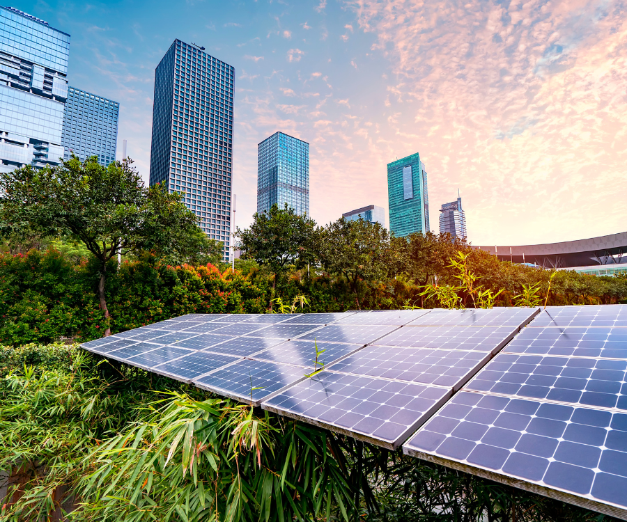 Solar panels and greenery in front of downtown high-rises